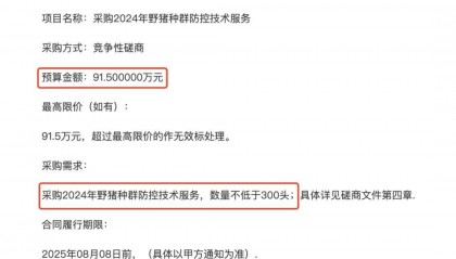 91.5万元打300头野猪，南京一企业中标后弃标，知情人：人手不够
