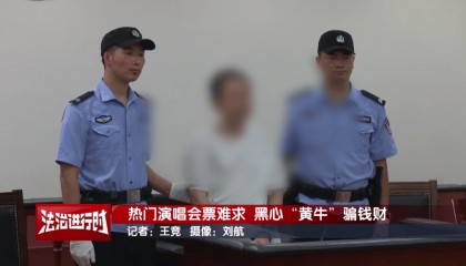 女子花4万多元买刀郎演唱会门票，直至演出临近开场才知门票是假的，涉事黄牛被判刑