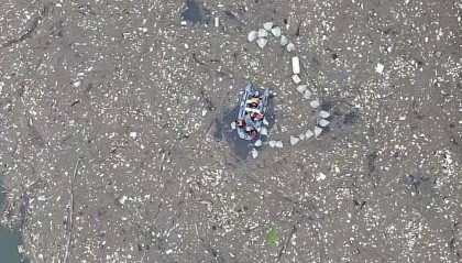 网友曝光洛阳一水库漂浮大量垃圾 当地回应：正在处理