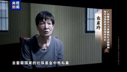 人社局工作人员发现系统漏洞，拉所长下水骗养老金，两人退休后惶惶不可终日，最终获刑