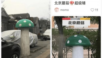 北京街头2米高神秘“蘑菇”，你见过吗？网友大胆猜想……