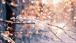 警惕 “冷暖反转”！寒潮逼近 降雪大风伴强降温，请注意防范