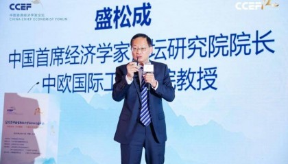 中国首席经济学家论坛研究院院长盛松成：增加收入是促消费的关键