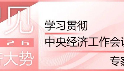 学习贯彻中央经济工作会议精神·专家谈①丨张占斌：“必须充分挖掘经济潜能”具有鲜明的时代性