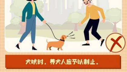 下月起，遛狗不栓绳最高拘10天罚1千