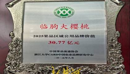 潍坊临朐：30.77 亿元！“红玛瑙”大樱桃何以成乡村振兴“甜蜜引擎”