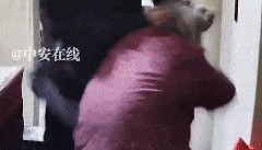 全网愤怒！男子将93岁母亲摁倒在地殴打，老人惨叫着躲进厨房…官方最新通报