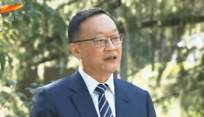 新疆维吾尔自治区党委政法委副书记刘琛被查
