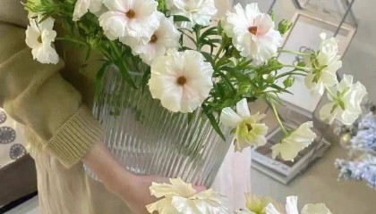 可转债如何买卖交易？在哪里操作可转债？