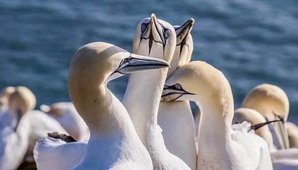 错版人民币价值连城!你敢信吗?