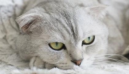 量化交易最受投资者喜欢的优点是什么?