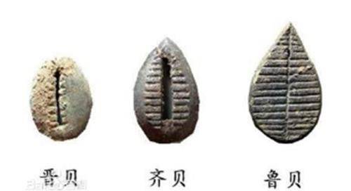 先秦贝壳是流通货币，为何百姓不去海边捡？学者：不捡才是聪明人