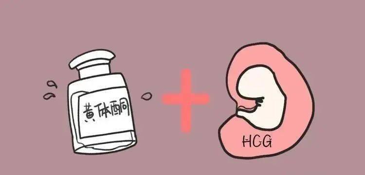 注意孕期HCG数值那些翻倍与降低的问题！