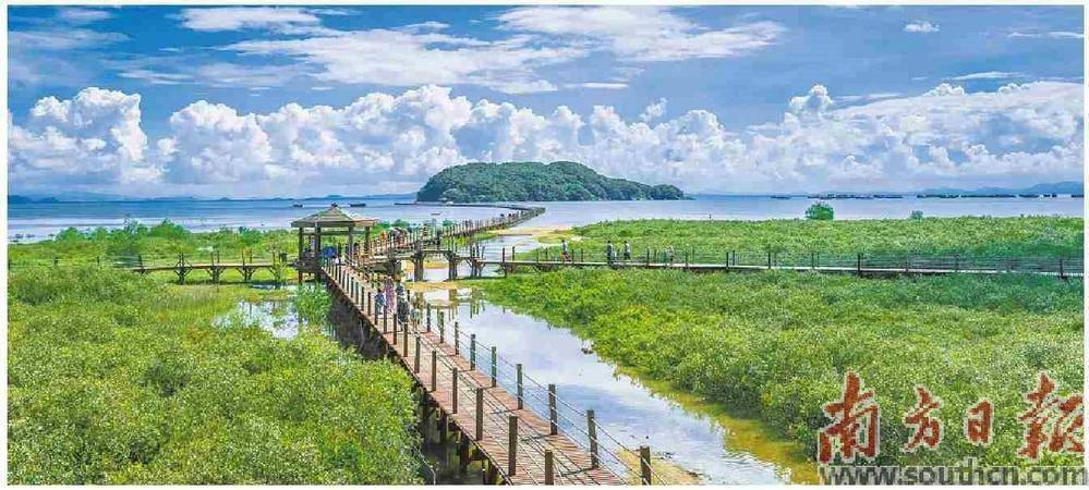 阳江：海丝文化名城 文旅融合积厚成势