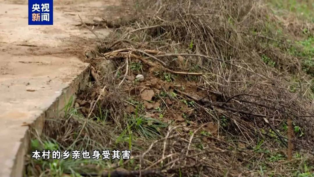 四川一干部受贿400余万元，每次收钱都要“退还”几捆