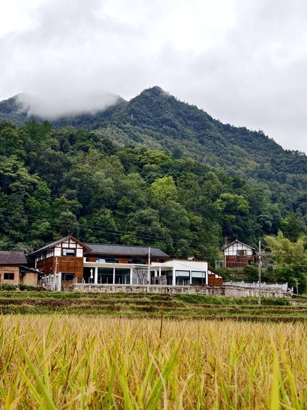 推窗见梯田！梧桐山民宿：把日子过成诗