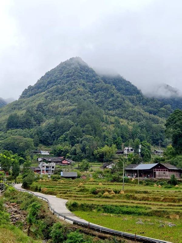 推窗见梯田！梧桐山民宿：把日子过成诗