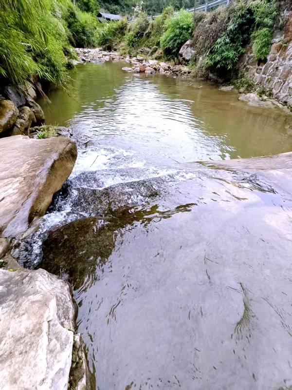 推窗见梯田！梧桐山民宿：把日子过成诗