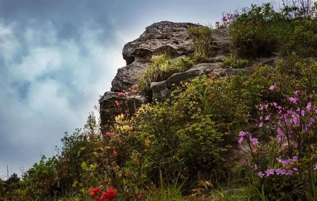 为什么年轻人迷上了爬山？ | 秋高气爽，是时候出发了→