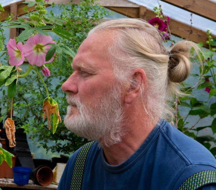 两只雌蚊和一只雄蚊被发现,全球最后一个无蚊国冰岛“沦陷”