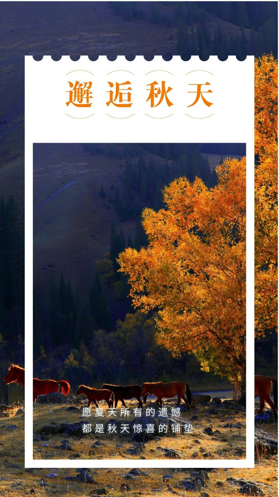 邂逅博州的秋天，从从容容游刃有余