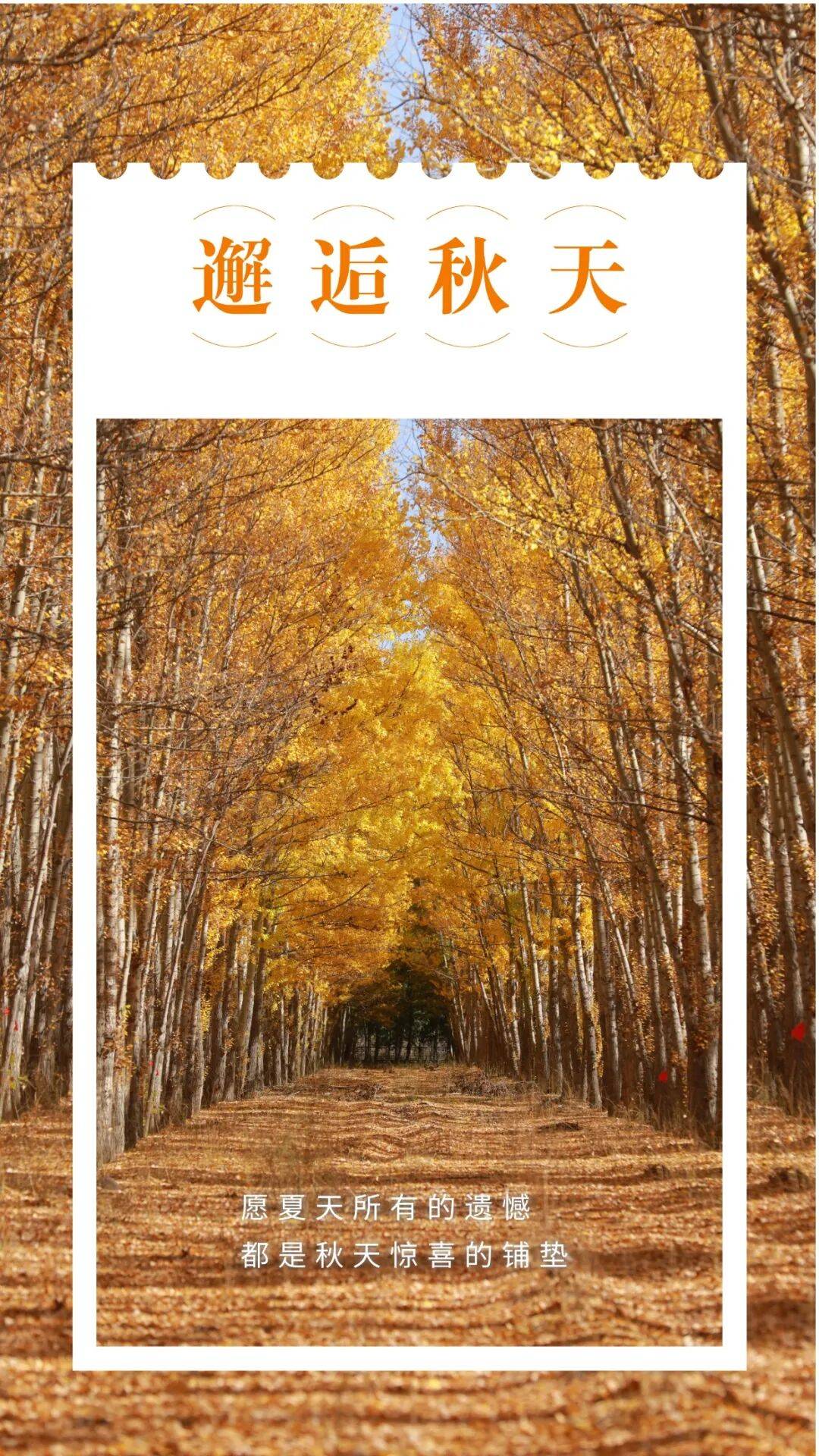 邂逅博州的秋天，从从容容游刃有余