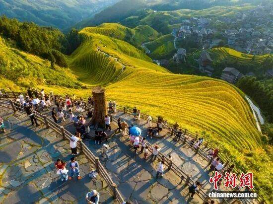 金秋，广西的梯田一点不输！