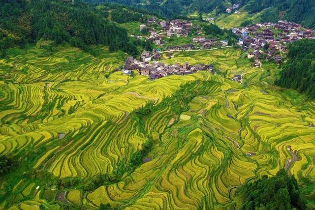 金秋，广西的梯田一点不输！