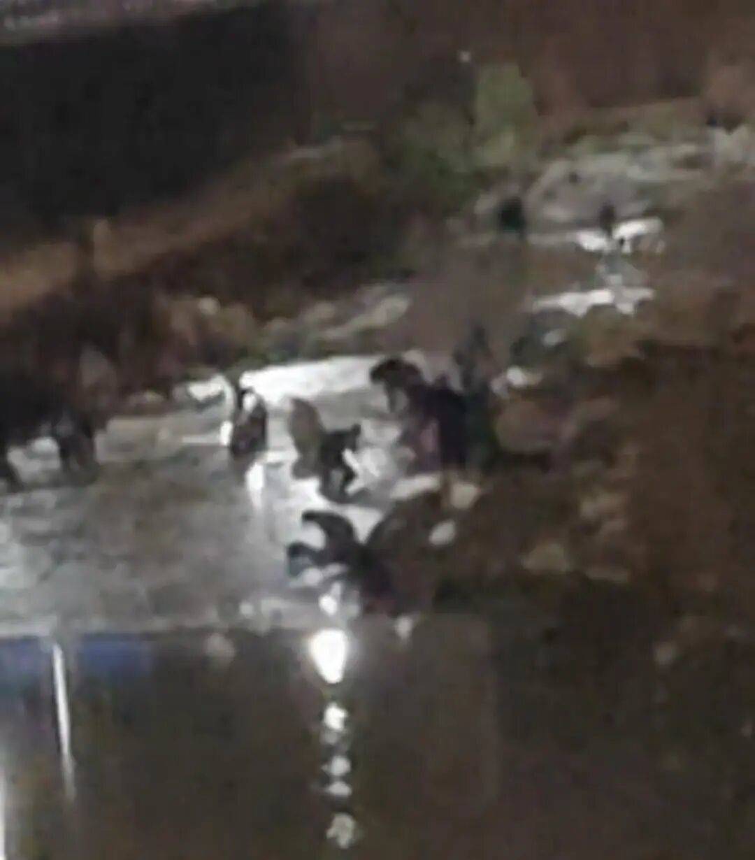 “一盆出5克多”，多人凌晨下河淘金！当地警方回应