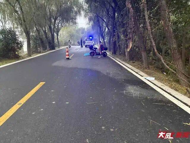 陕西兴平56岁女教师骑电动车“撞树枝”身亡，交警判定担主责，家属提出诸多质疑，多方回应