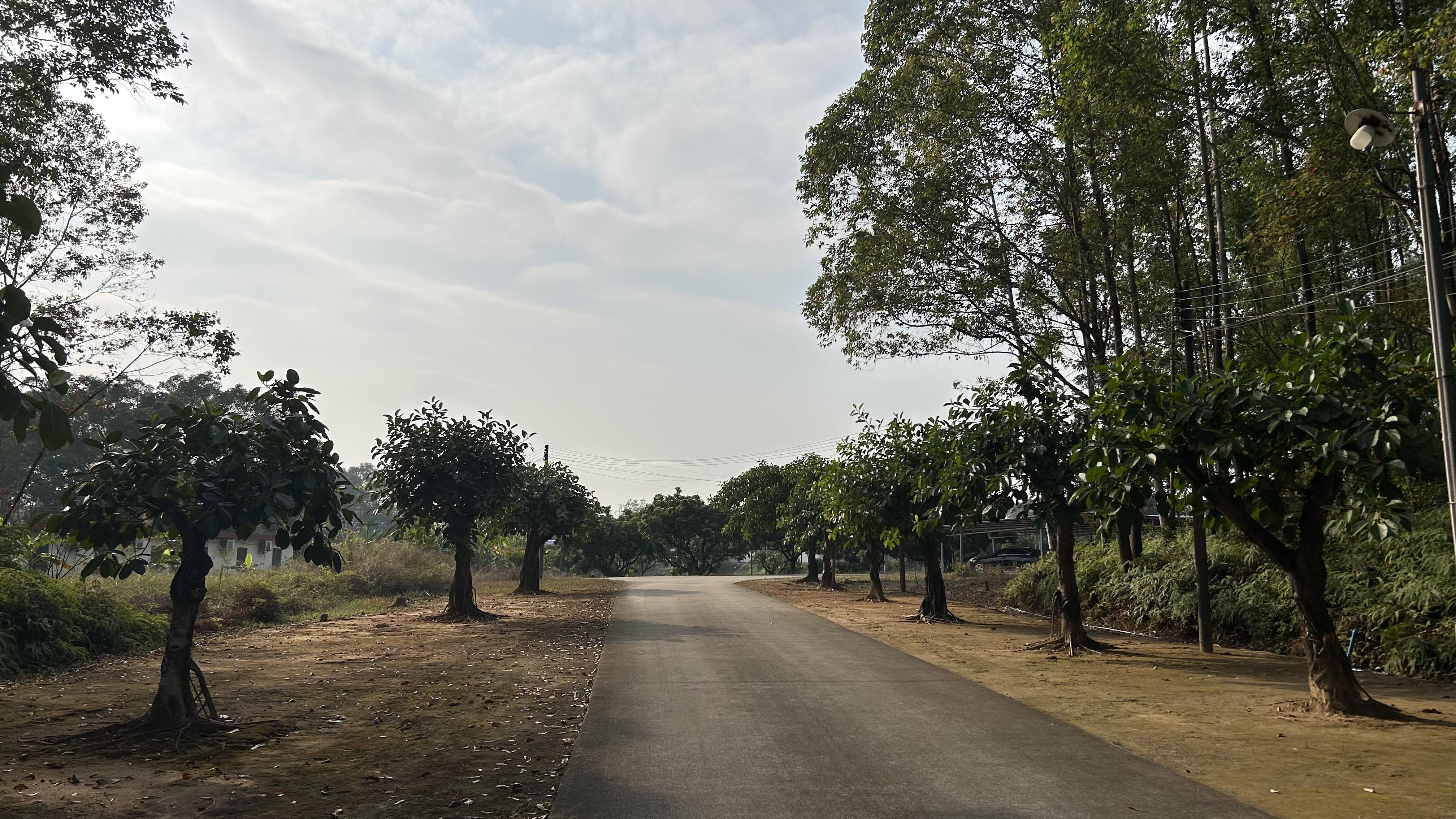 有价无猴!实验猴价格暴涨,有猴场明年的猴都被订光,繁殖率已跟不上|调查