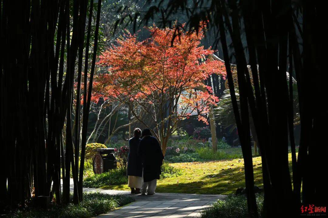 我国已进入拉尼娜状态!四川今冬或“前暖后冷”