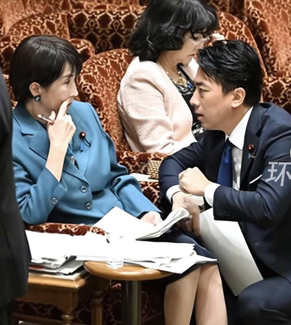 小泉进次郎跪地与高市早苗交谈,企图为高市发声,遭在野党强烈嘘声