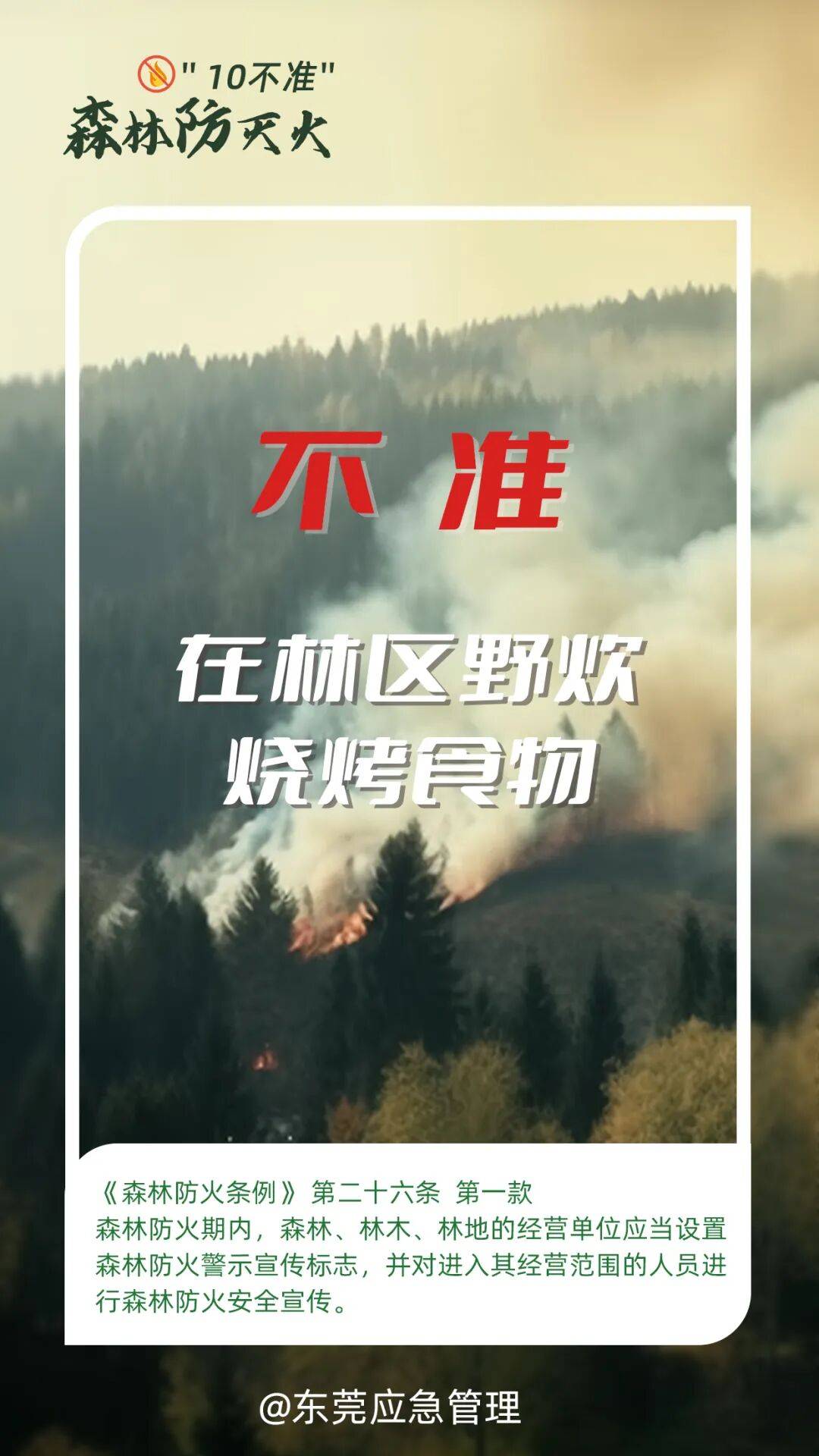 深圳坪山区突发山火，最新通报：明火已扑灭，无人员伤亡